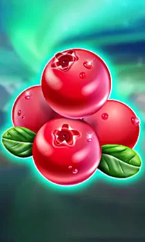 Winterberries
